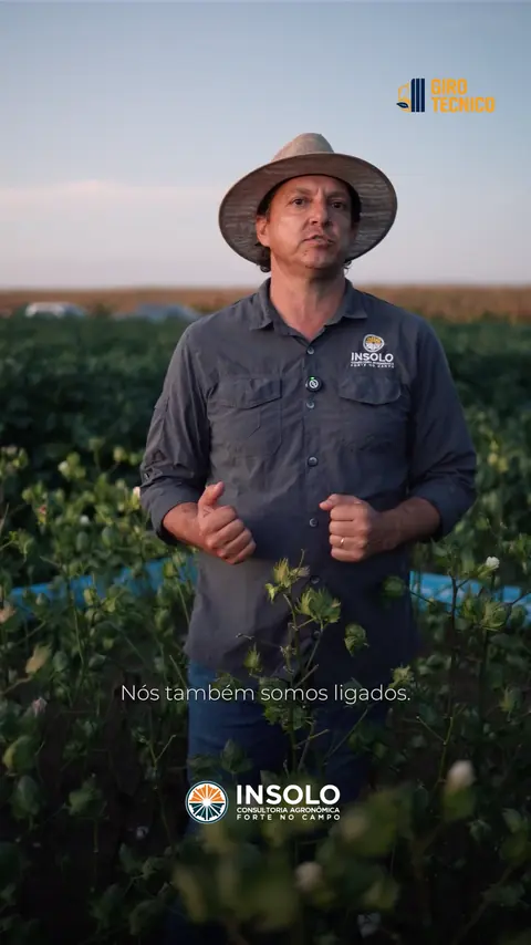 Insolo — Depoimento - Luis